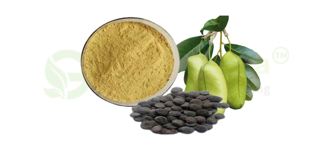 Griffonia Seed Extract vs. Synthetic 5-HTP